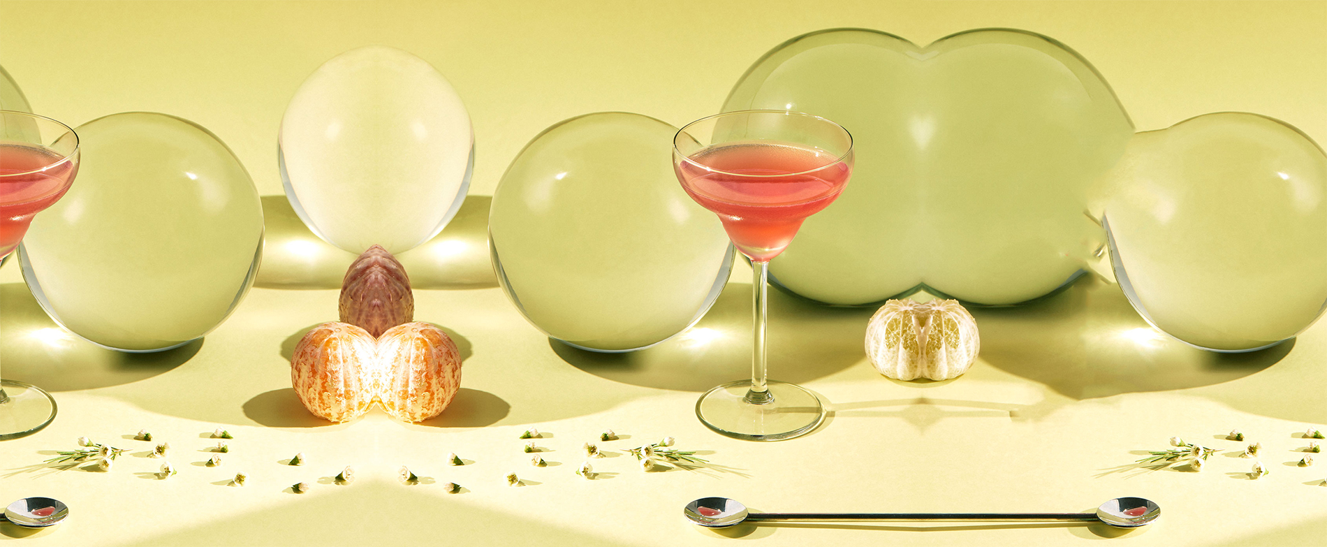 Stargarita / margarita