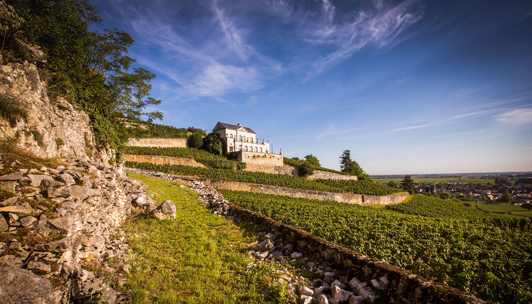 albert bichot bourgogne