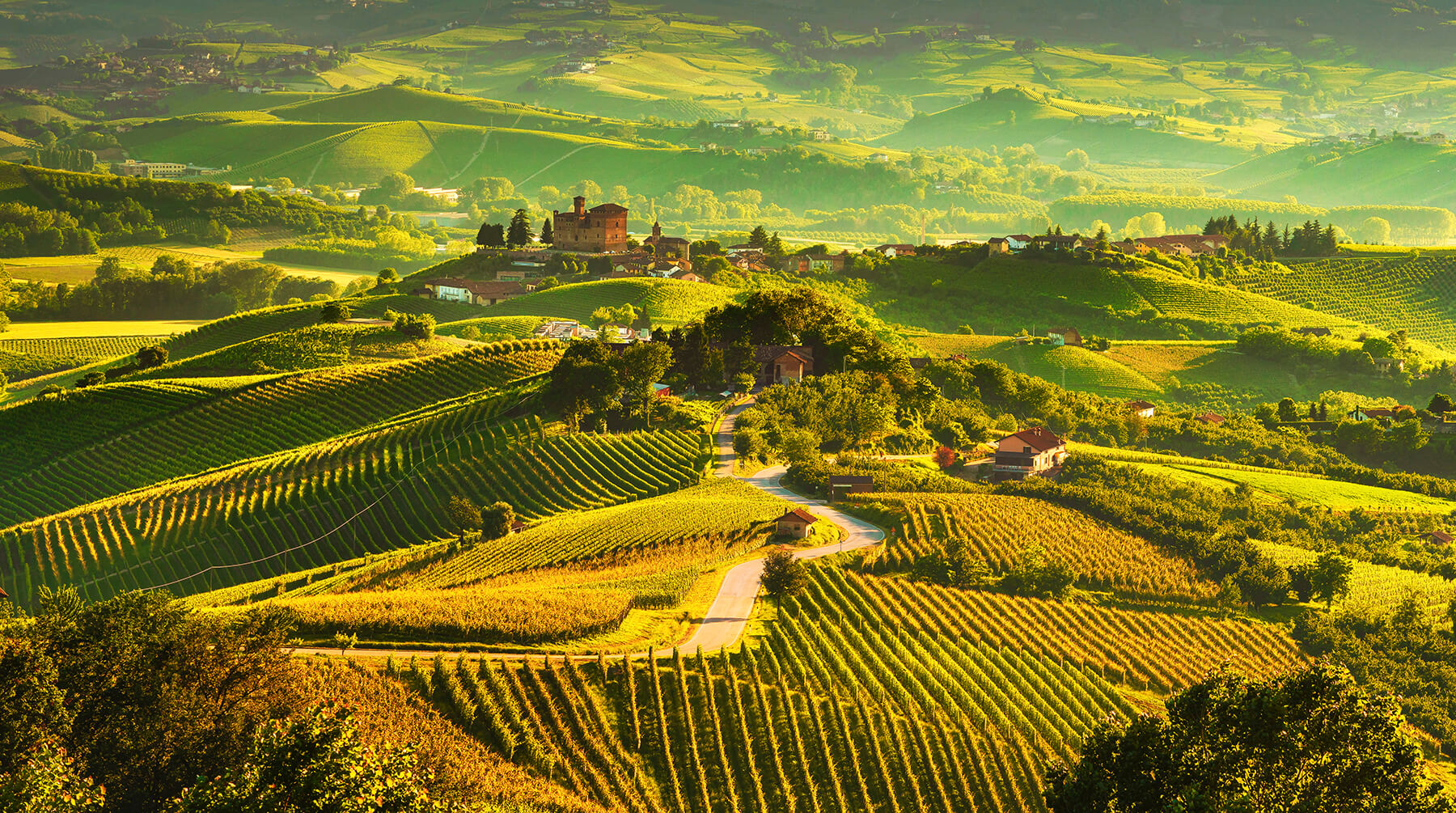 Läs mer om vinlandet Italien