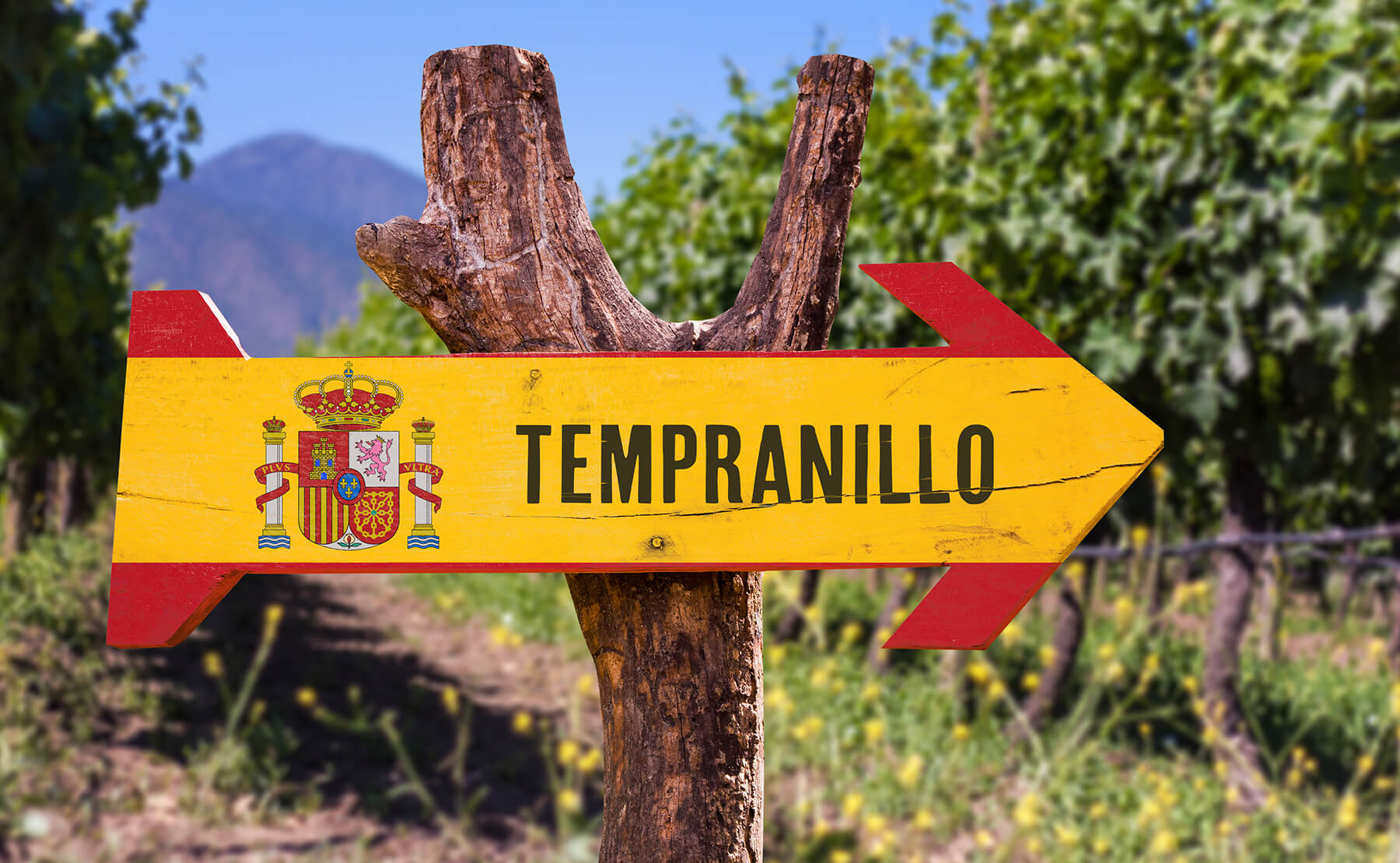 tempraillo_vingård_skylt