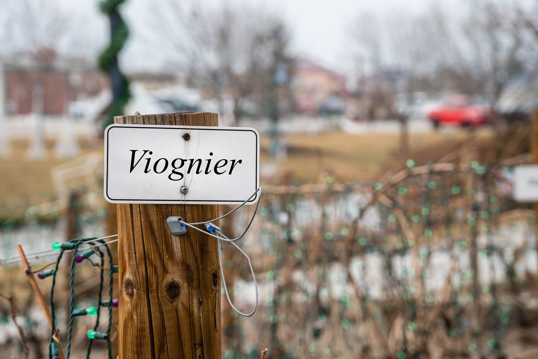 vingård med skylt av en viogner vingård