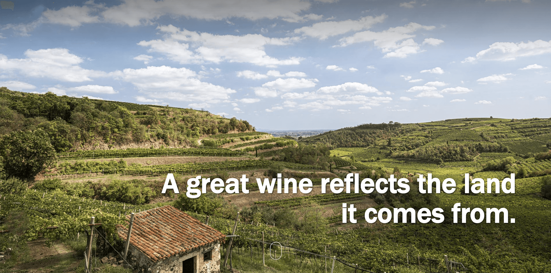 en vingårdsbild över italien från PRA