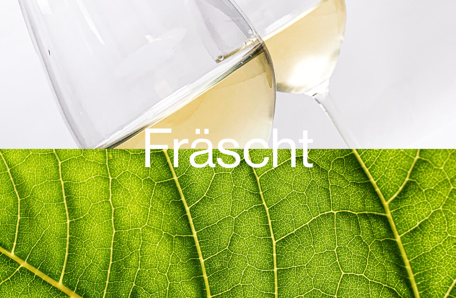 smaktyp friska viner med grönt blad och vitvinsglas