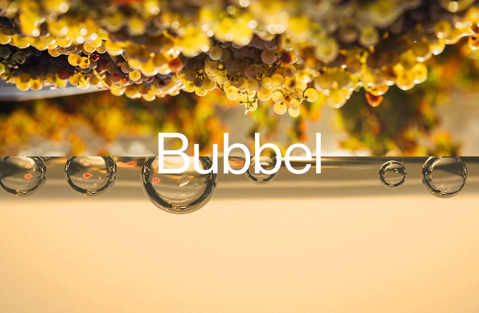 smaktyp vitt bubbel mousserande vin