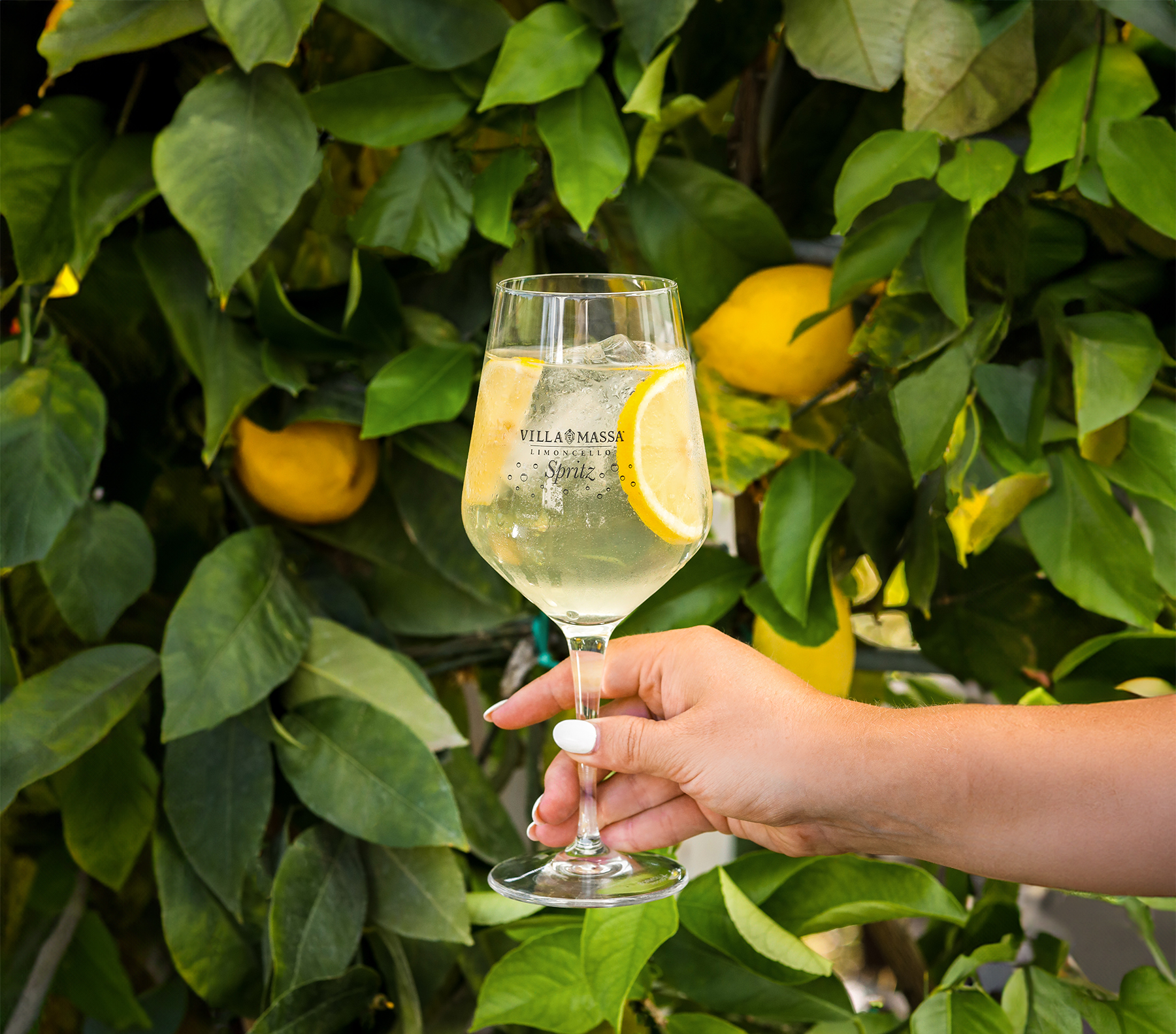 limoncello spritz med citroner och löv