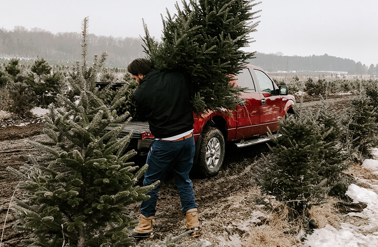 julgran som lastas på en bil
