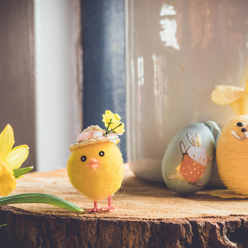 liten påskkyckling