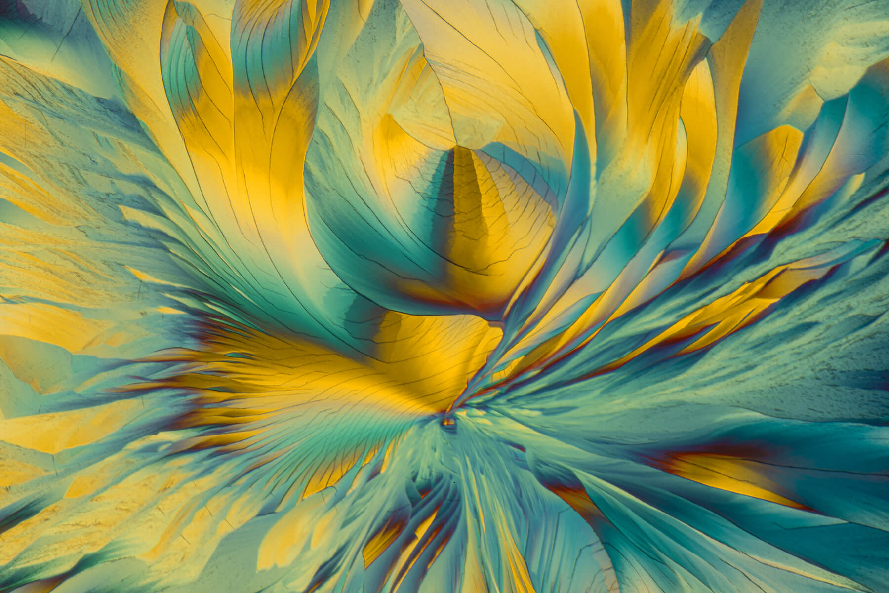 mönster stoneleogh viner