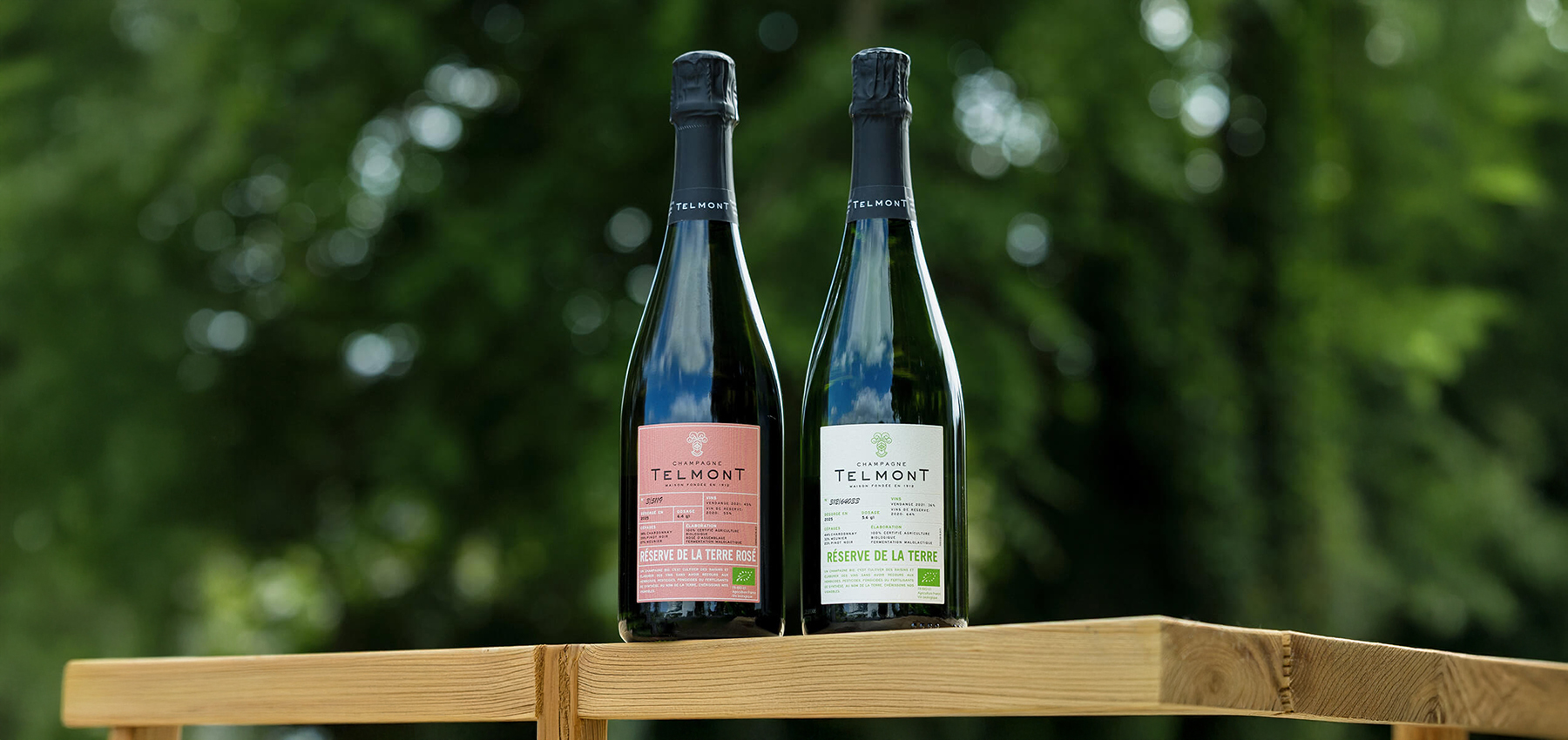 två flaskor Telmont Champagne